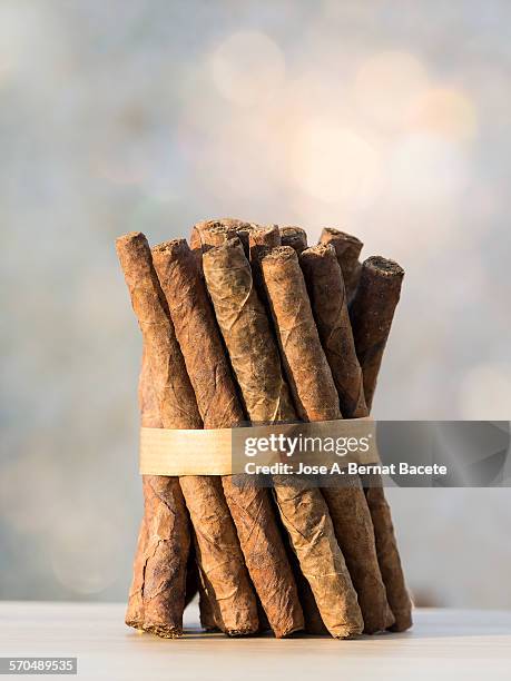 cigars of handcrafted manufacture - cheroot stock-fotos und bilder