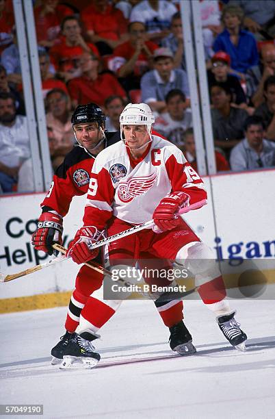 Canadian hockey player Steve Yzerman of the Detroit Red Wings battle for position with American player Neal Broten of the New Jersey Devils during...