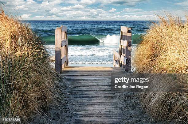 to beach - martinique beach stock pictures, royalty-free photos & images