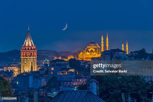 ala ower & the suleymaniy mosque - istanbul bildbanksfoton och bilder