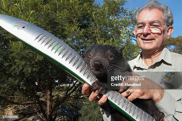 Bruce Englefield shows 'Rascal' the Tasmanian Devil the Melbourne 2006 Queen's Baton at the East Coast Nature World Wildlife Park as part of the...