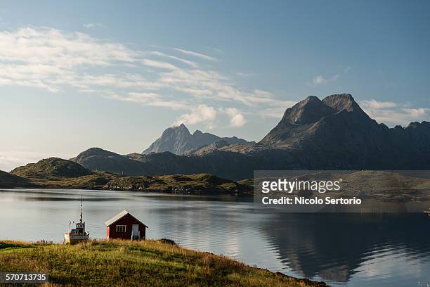 summer cottage by fjord in summer - fjord stockfoto's en -beelden