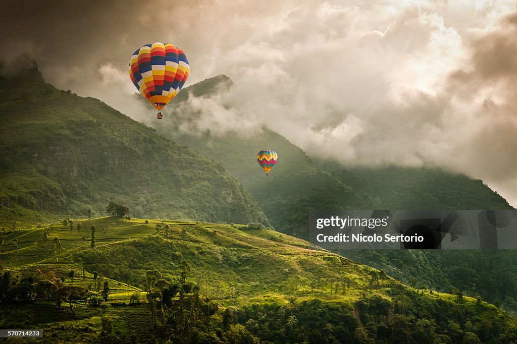 Hot air balloons over tea plantations