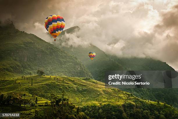 hot air balloons over tea plantations - sri lanka and tea plantation stock pictures, royalty-free photos & images