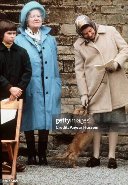 Queen Elizabeth ll, standing with the Queen Mother and Lady Sarah Armstrong-Jones , pets one of her favourite dogs, a dorgi which is a cross between...