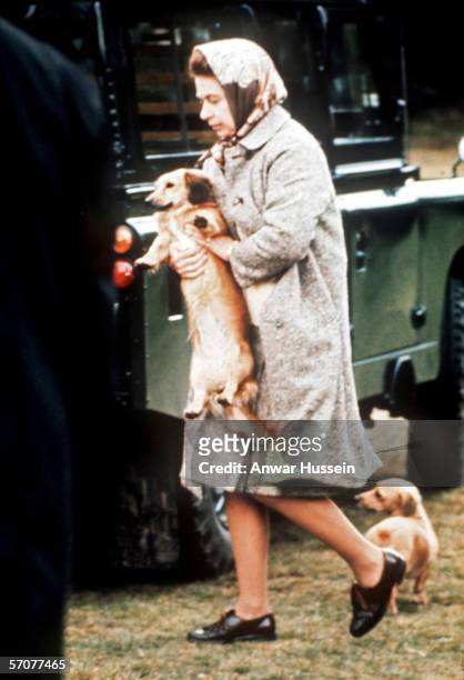 Queen Elizabeth II carries one of her pet dogs at Windsor Great Park,England.