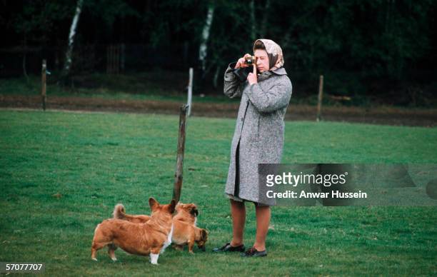 Queen Elizabeth II photographing her corgis at Windsor Park in 1960 in Windsor, England.