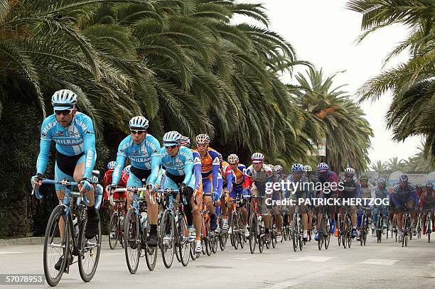 San Benedetto del Tronto, ITALY: Teammates of Italian Alessandro Petacchi lead the pack during the seventh stage Campli-San Benedetto del Tronto of...