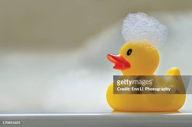 rubber duck with bubbles - gummiente stock-fotos und bilder