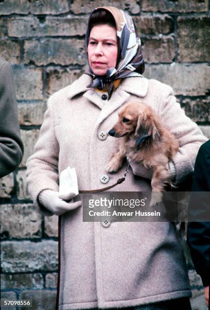 Queen Elizabeth II with one of her favourite dogs at the Badminton Horse Trials in April 1976.