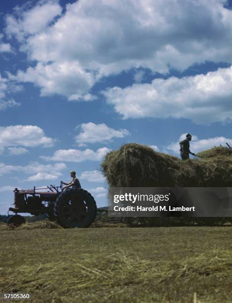 Making A Haystack 133 Harold Hay Photos & High Res Pictures - Getty Images