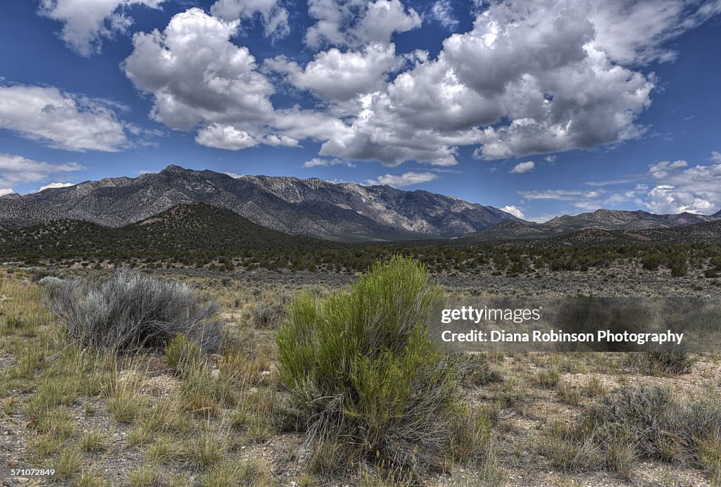 View along the Great Basin Highway, Nevada