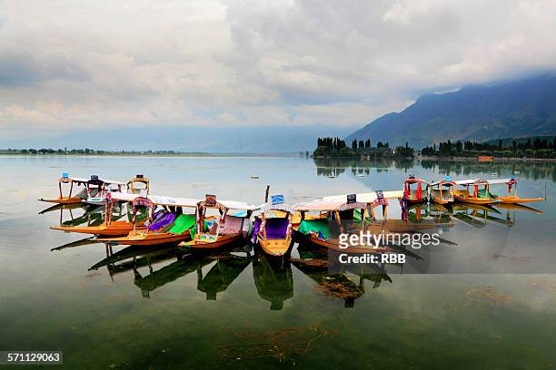 anchored shikara boats - jammu and kashmir stock pictures, royalty-free photos & images