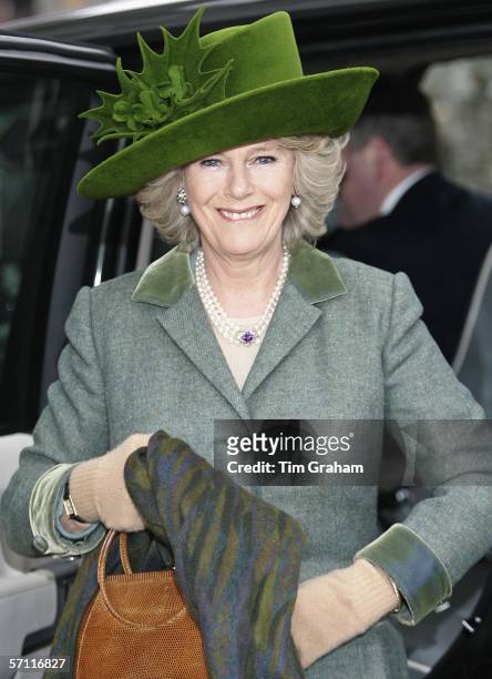 Camilla, Duchess of Cornwall wears a St Patrick's Day themed hat designed by Milliner Philip Treacy to the final day of Cheltenham Races on March 17,...