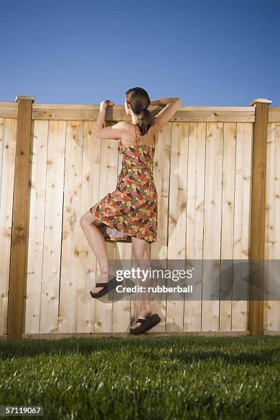 rear view of a woman peeking over a wooden fence - nosey neighbor stock-fotos und bilder