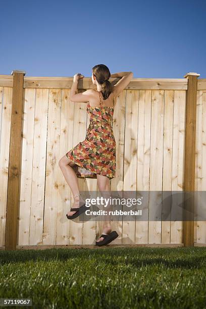 rear view of a woman peeking over a wooden fence - nosy stock pictures, royalty-free photos & images