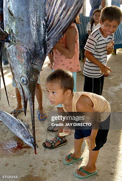 Child looks at a sailfish caught during a fishing tournament in Siargao island, southern Philippines, 18 March 2006. Local big-game fishermen come to...