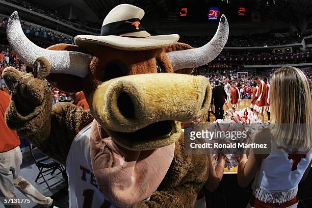 The Texas Longhorns mascot, Bevo, cheers for his team during the Second Round game against the NC State Wolfpack in the 2006 NCAA Division 1 Men's...