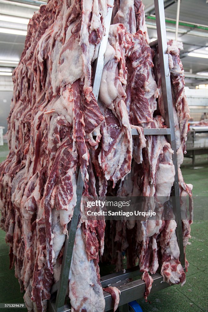 Pig carcasses hanging in a slaughterhouse