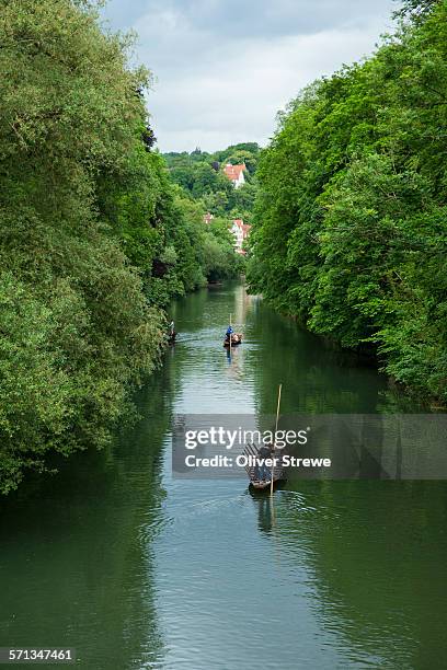 boating on the neckar river - tübingen stock pictures, royalty-free photos & images