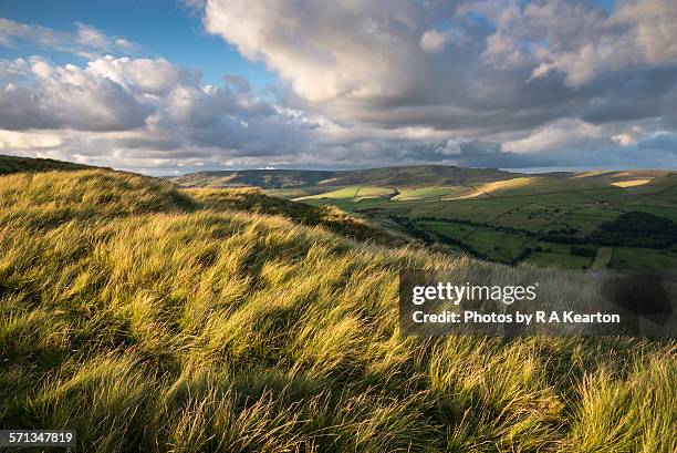 windblown moorland grasses, derbyshire, england - moor stock pictures, royalty-free photos & images