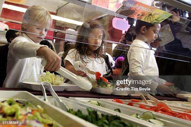 Students at Nettelhorst Elementary School, on lunch, dig into a salad bar in the school's lunchroom March 20, 2006 in Chicago, Illinois. U.S. Senator...