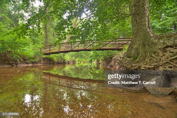 nature - fairfax virginia stock pictures, royalty-free photos & images