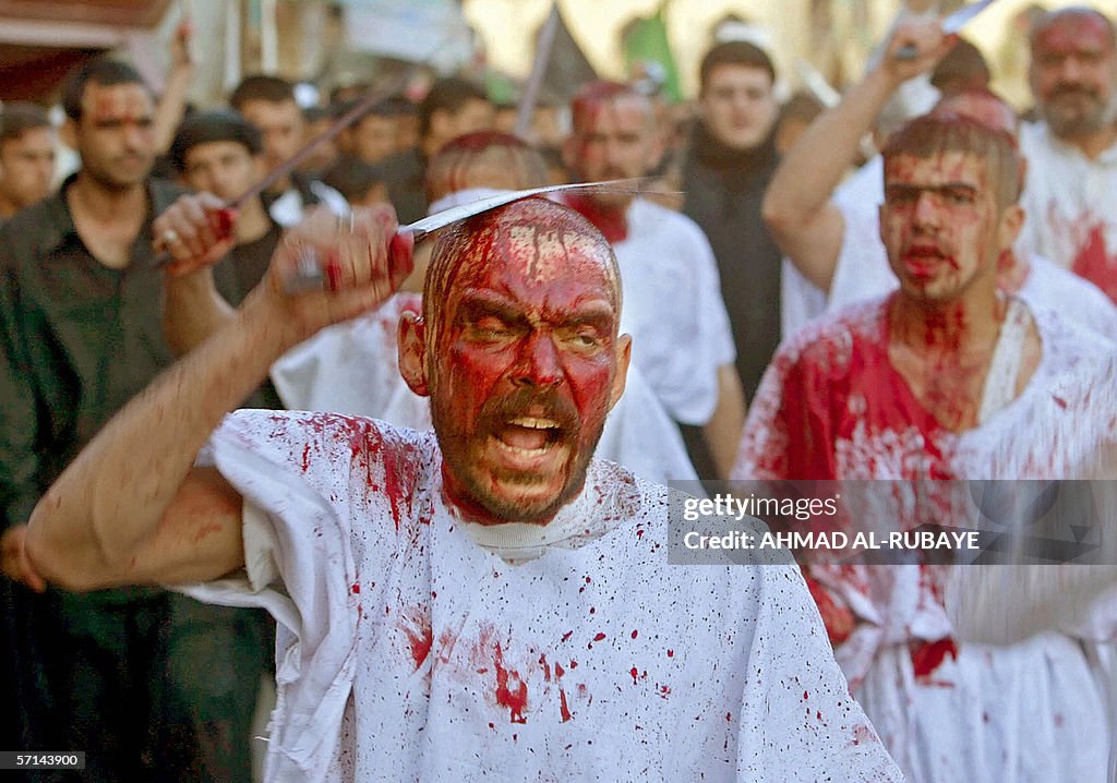 Iraqi Shiite pilgrims flagellate themsel