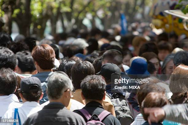 people coming to view cherry blossoms - coming back stock pictures, royalty-free photos & images