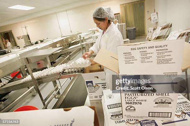 Rosa Antonez packages pasteurized eggs at the National Pasteurized Eggs processing facility March 22, 2006 in Lansing, Illinois. NPE has...