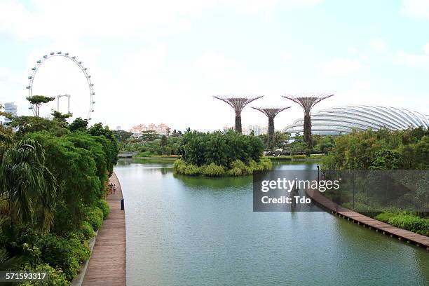 singapore;garden by the bay. - gardens by the bay stock-fotos und bilder