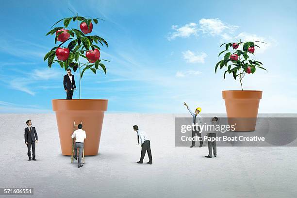 group of miniature businessmen growing apple tree - apple tree stock pictures, royalty-free photos & images