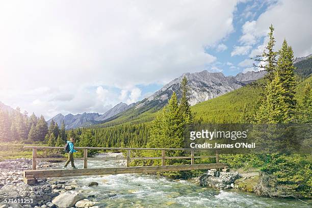 female traveller crossing alpine rivers - bridge side view stock pictures, royalty-free photos & images