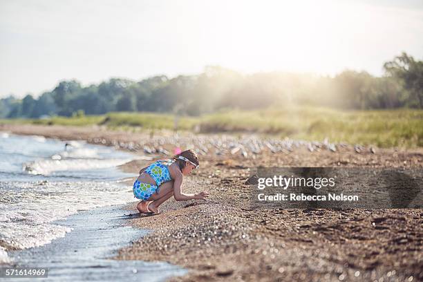 girl collecting rocks on beach - rebecca da costa - fotografias e filmes do acervo