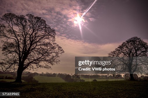 Trees during solar eclipse, March 2015 Trees during solar eclipse, March 2015