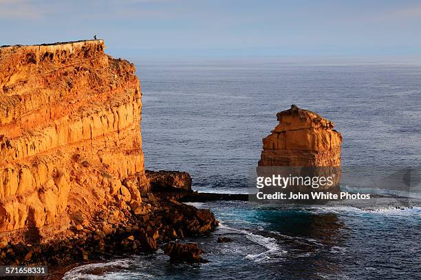 sheringa cliffs. eyre peninsula. south australia. - port lincoln stock pictures, royalty-free photos & images