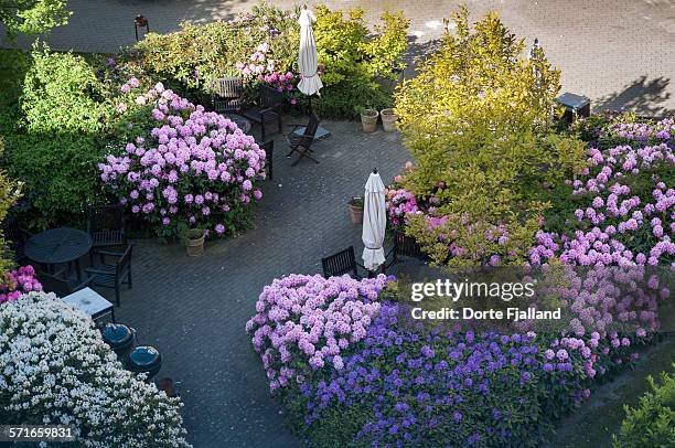 backyard with flowering plants - dorte fjalland fotografías e imágenes de stock