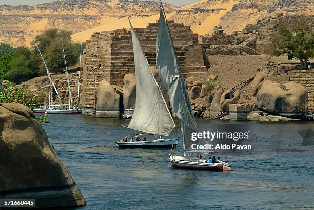 egypt, assuan, elephantine island - felucca stockfoto's en -beelden