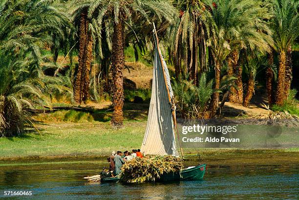 egypt, nile between luxor and esna - felucca boat imagens e fotografias de stock