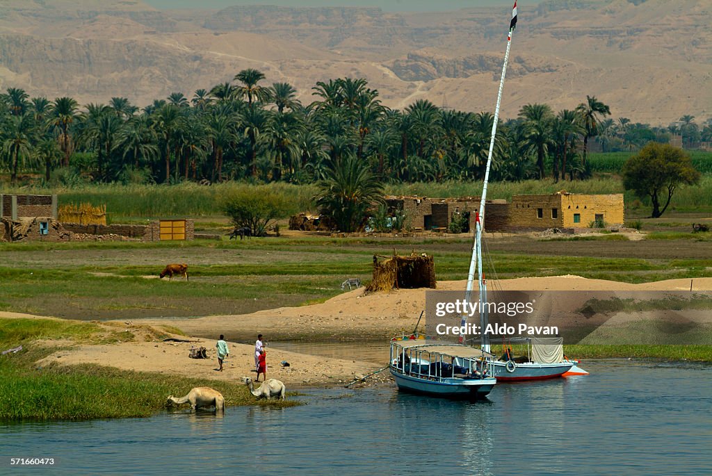 Egypt, Nile between Luxor and Esna