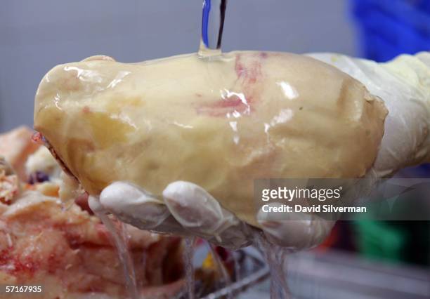Worker cleans an enlarged liver that was extracted from a ritually slaughtered force-fed goose at the Foie Gras Ltd meat processing plant on March...