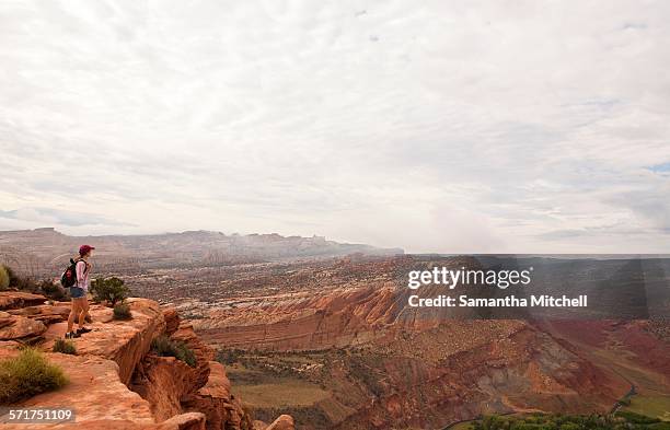 female hiker looking out over capitol reef national park, torrey, utah, usa - capitol reef national park stock-fotos und bilder