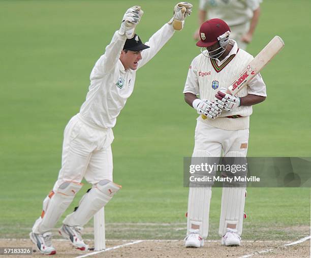 Brendon McCullum celebrates Brian Lara of the West Indies being clean bowled by Nathan Astle of the New Zealand BlackCaps for 83 runs during day two...