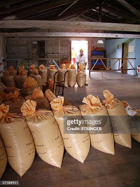 Agostinho Neto, SAO TOME AND PRINCIPE: TO GO WITH AFP STORY "Les planteurs de cacao de Sao Tome revent d'obtenir le label "bio" Recent picture shows...