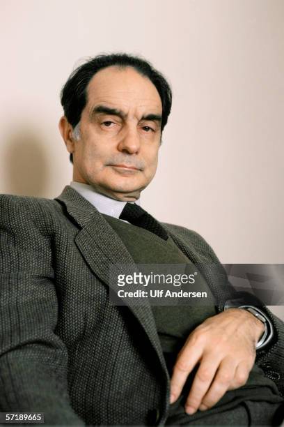 Italo Calvino poses at home in Paris,France during January of 1984.