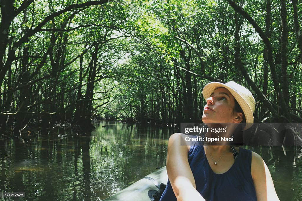 Woman enjoying mangrove canopy from kayak, Japan