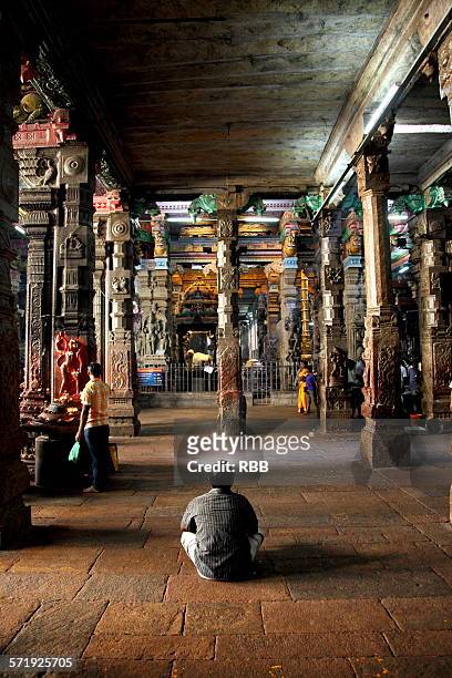 interior of meenakshi temple madurai - sri meenakshi hindu temple stock pictures, royalty-free photos & images