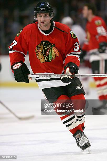 Curtis Brown of the Chicago Blackhawks skates before the game against the Phoenix Coyotes on March 19, 2006 at the United Center in Chicago, Illinois.