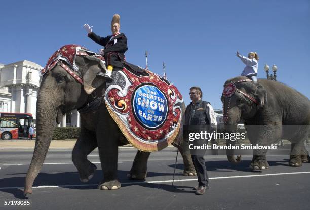 Elephants walk past Union Station on Massachusetts Avenue during a parade from the DC Armory to the Verizon Center March 27, 2006 in Washington, DC....