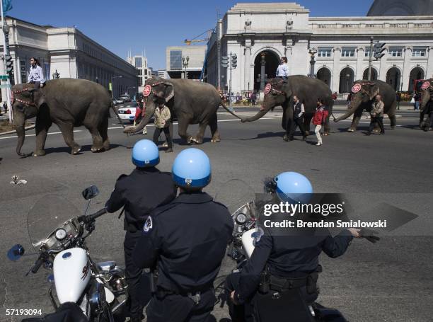 Motorcycle police watch as elephants pass Union Station while walking along Massachusetts Avenue during a parade from the DC Armory to the Verizon...